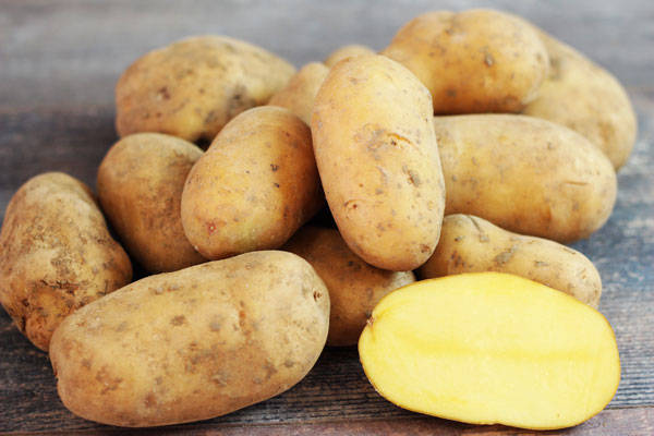 Pomme de terre Ditta BIO - Ferme de Chatenoy