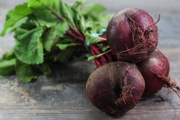 betteraves bottes BIO - Le Potager de la Grenouillère