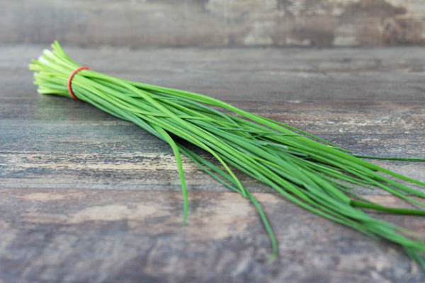 Ciboulette - EARL Chevet