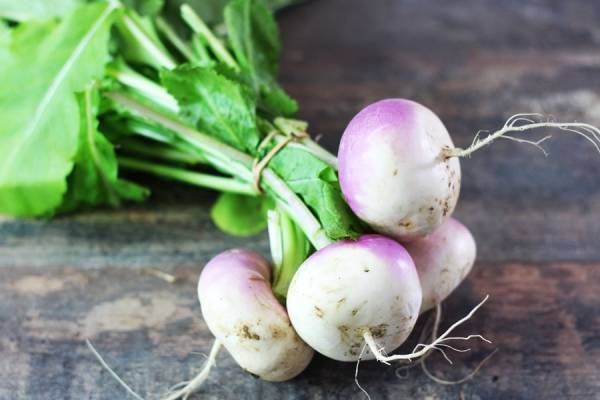 Navets BIO - Les potagers de Marcoussis