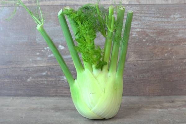 Fenouil - Ferme de la Marche