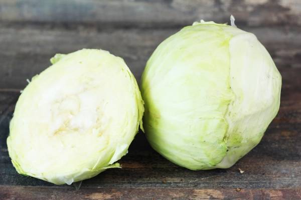 Chou blanc BIO - Les Potagers du Télégraphe