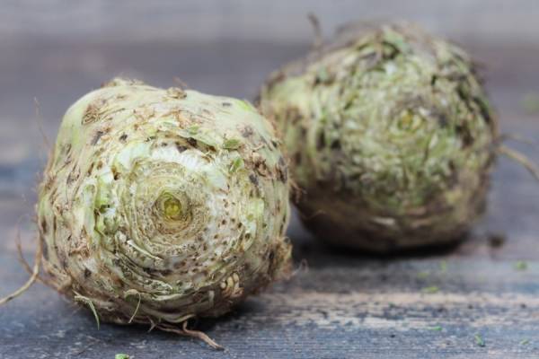 Céleri Rave BIO - Le Clos de Nonville