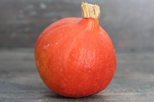 Potimarron BIO - Les potagers de Marcoussis