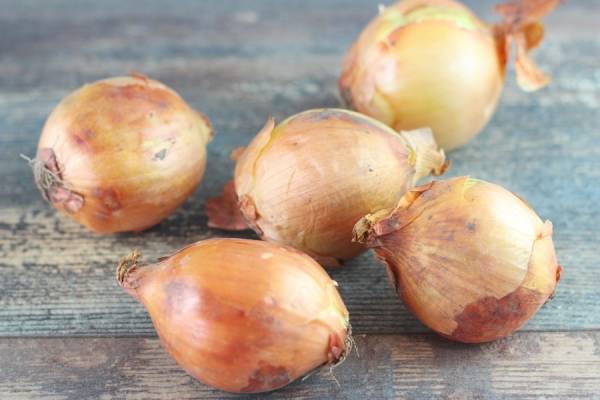 Oignon jaune vrac - Stéphane Milville