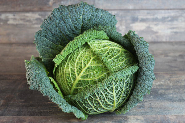 Chou vert frisé Bio - Fabien Frémin