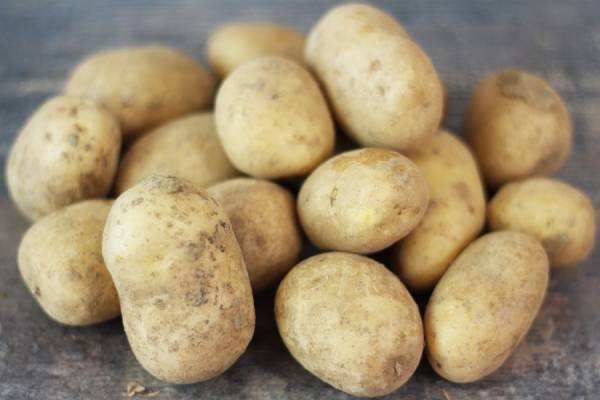 Pomme de Terre grenaille BIO - Ferme de Chatenoy