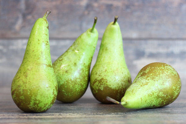 Poire Conférence - Vergers de Molien