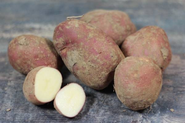 Pomme de terre Dalida BIO - Ferme Lafouasse