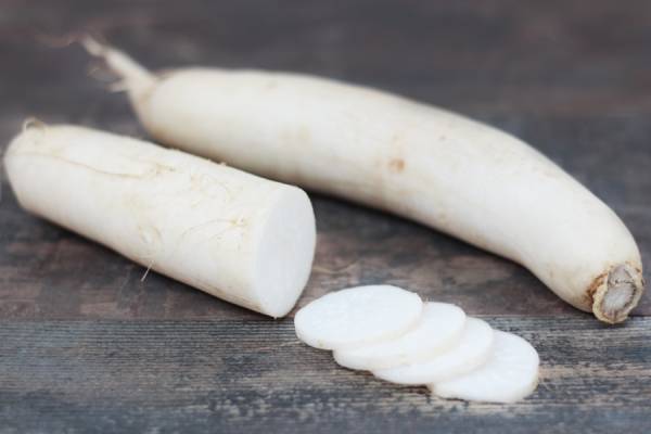 Radis Blanc BIO - Les Potagers du Télégraphe