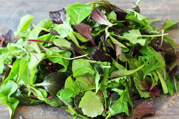 Mélange de jeunes pousses Beausse - Beausse