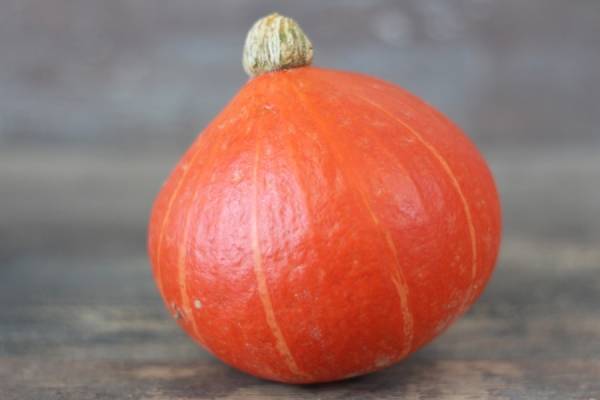 Potimarron (de 1kg) - Les Légumes de Laura