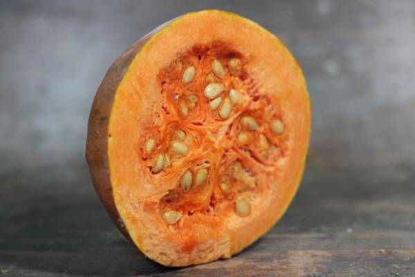 Courge Pleine de Naples BIO - Les jardins de Courances