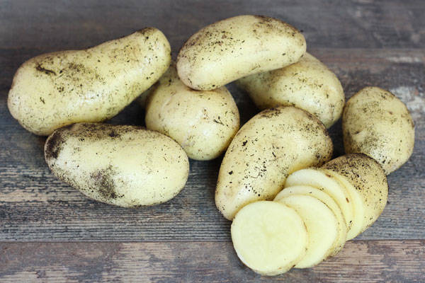 Pomme de terre Celtiane - Ferme de la Concie