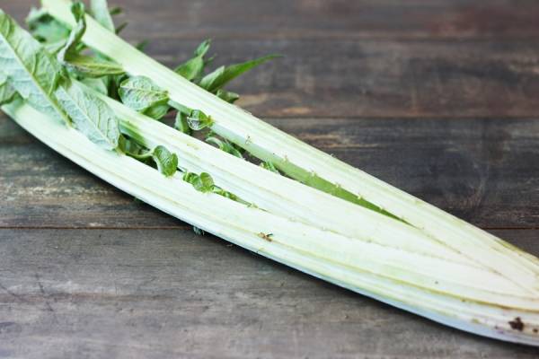 Cardon - Annie, Francis et Julie Tremblay