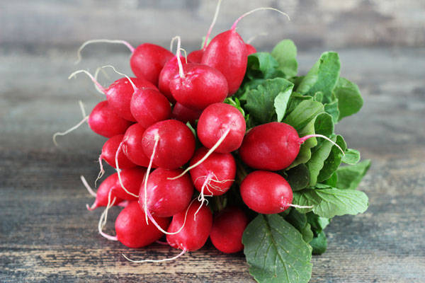 Radis rond rouge - Annie, Francis et Julie Tremblay