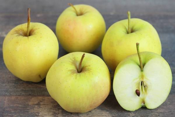 Pomme Golden - Vergers de Molien