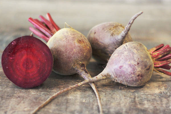 Betterave rouge sans fane - Le Potager d'Olivier