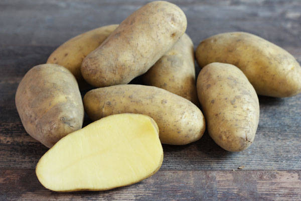 Pomme de terre Annabelle - Ferme de la Concie