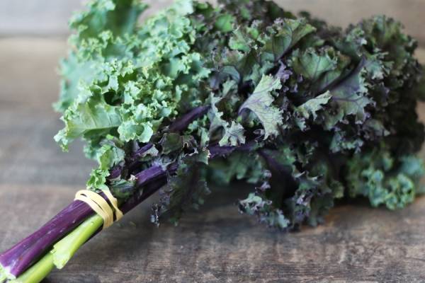 Bouquet de Kale rouge et vert - Le Potager d'Olivier