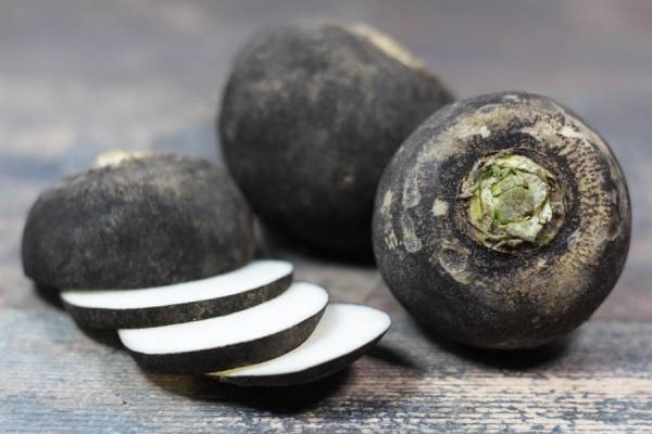 Radis rond Noir BIO - Les potagers de Marcoussis