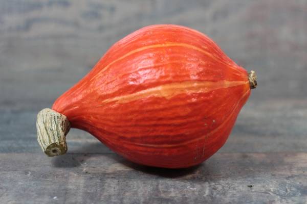 Potimarron BIO - Le Clos de Nonville