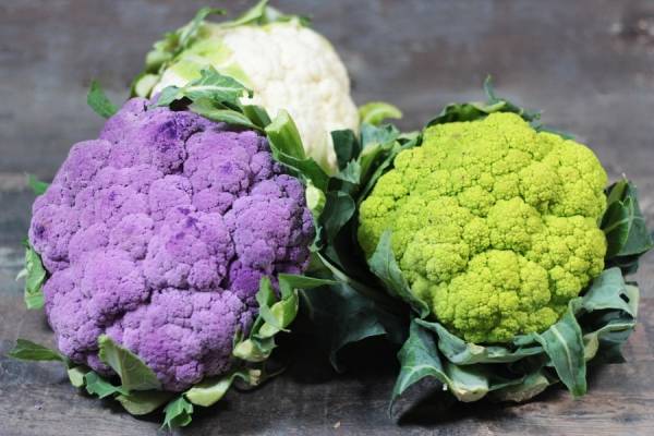 Chou-Fleur de couleur - Le Potager d'Olivier