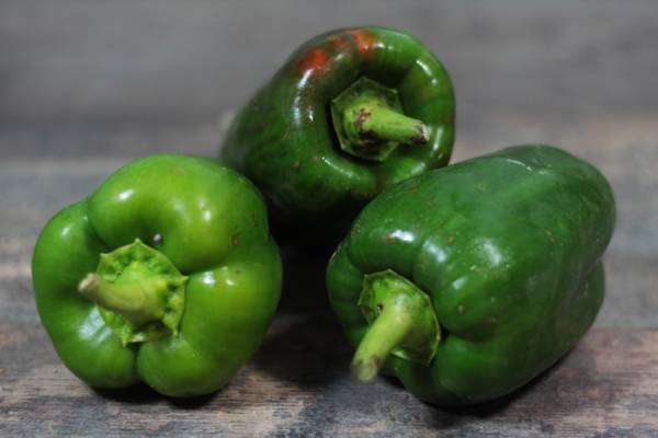 Poivron vert BIO - Ferme Lafouasse