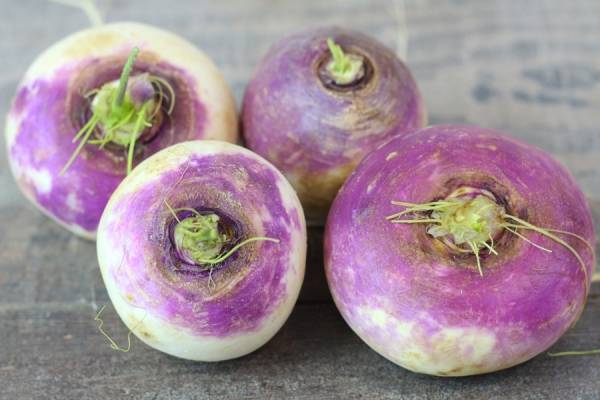 Navet violet vrac Bio - SCEA Koorin