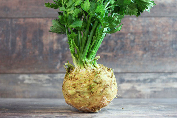 Céleri rave - Annie, Francis et Julie Tremblay