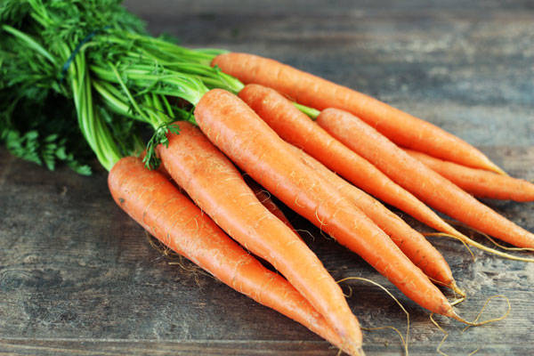 Botte de carottes - Stéphane Milville